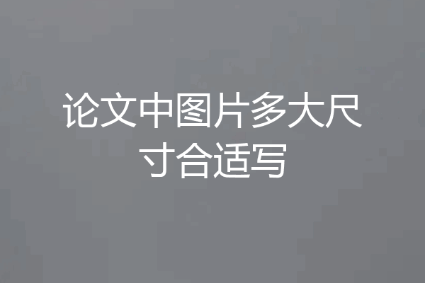 论文中图片多大尺寸合适写