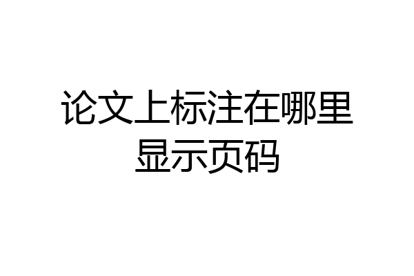 论文上标注在哪里显示页码