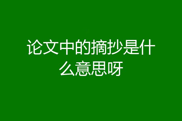 论文中的摘抄是什么意思呀