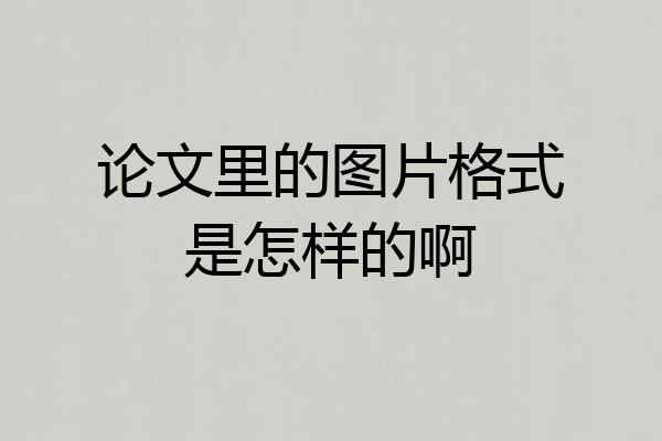 论文里的图片格式是怎样的啊