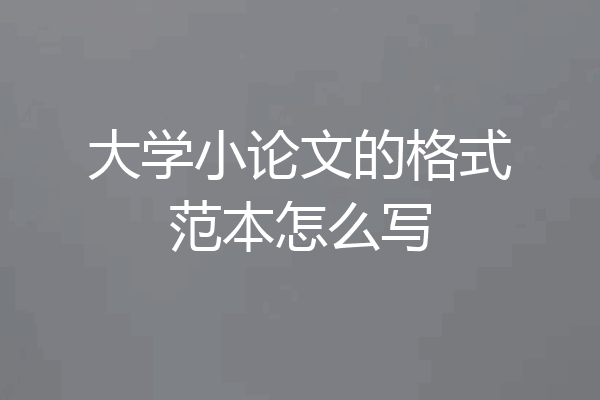 大学小论文的格式范本怎么写