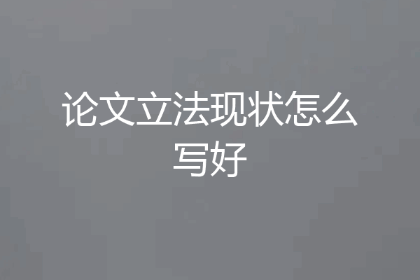 论文立法现状怎么写好