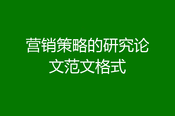 营销策略的研究论文范文格式