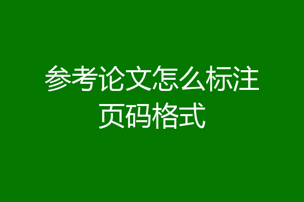 参考论文怎么标注页码格式