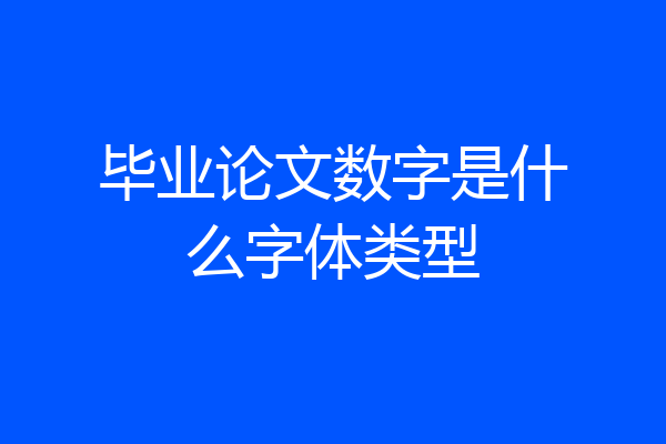 毕业论文数字是什么字体类型