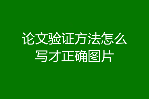 论文验证方法怎么写才正确图片