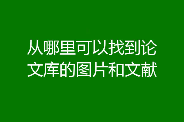 从哪里可以找到论文库的图片和文献