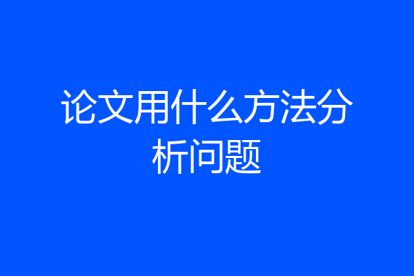 论文用什么方法分析问题