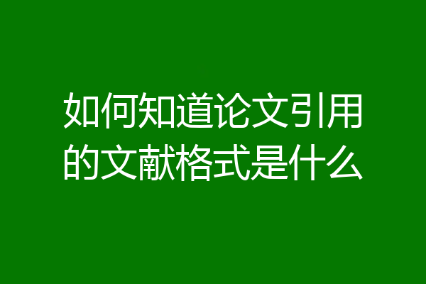 如何知道论文引用的文献格式是什么