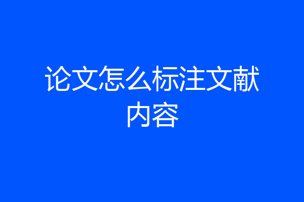 论文怎么标注文献内容