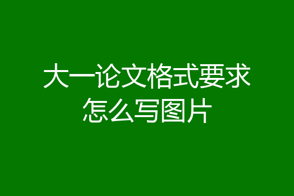 大一论文格式要求怎么写图片