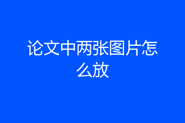 论文中两张图片怎么放