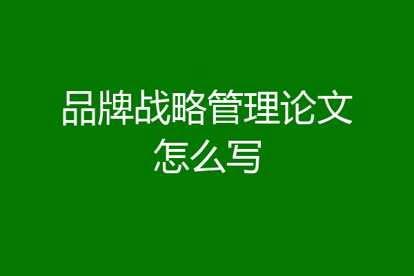 品牌战略管理论文怎么写
