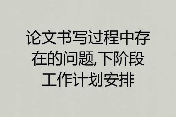论文书写过程中存在的问题,下阶段工作计划安排