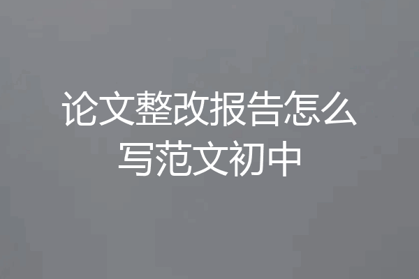 论文整改报告怎么写范文初中