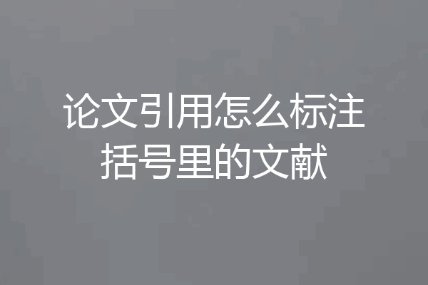 论文引用怎么标注括号里的文献