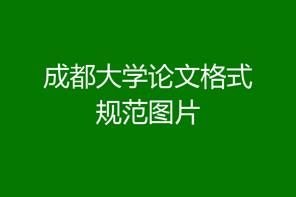 成都大学论文格式规范图片