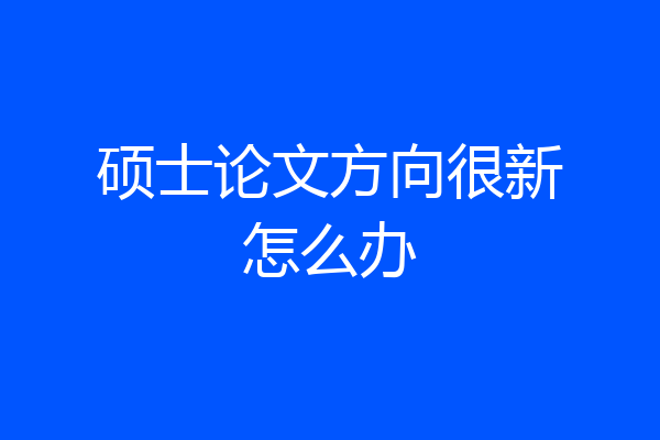 硕士论文方向很新怎么办