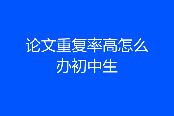 论文重复率高怎么办初中生