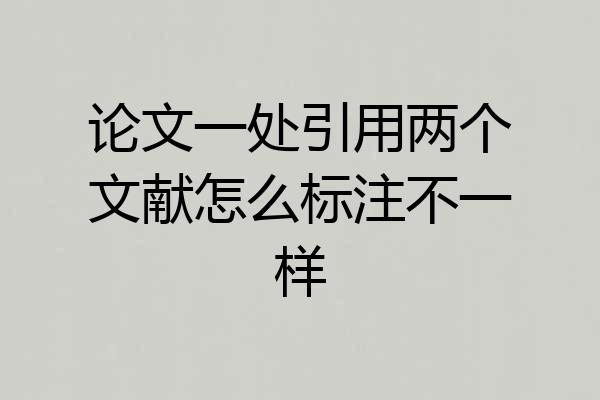 论文一处引用两个文献怎么标注不一样