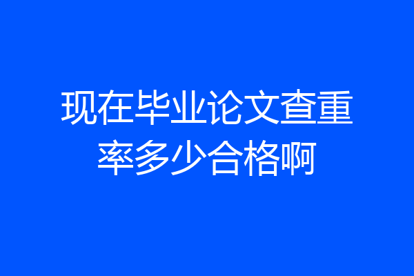 现在毕业论文查重率多少合格啊