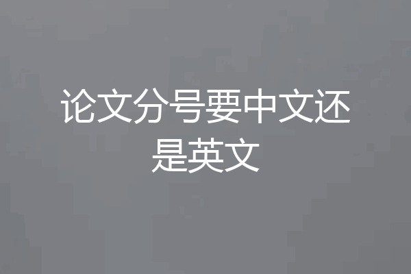 论文分号要中文还是英文