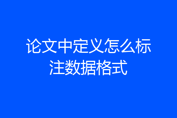 论文中定义怎么标注数据格式