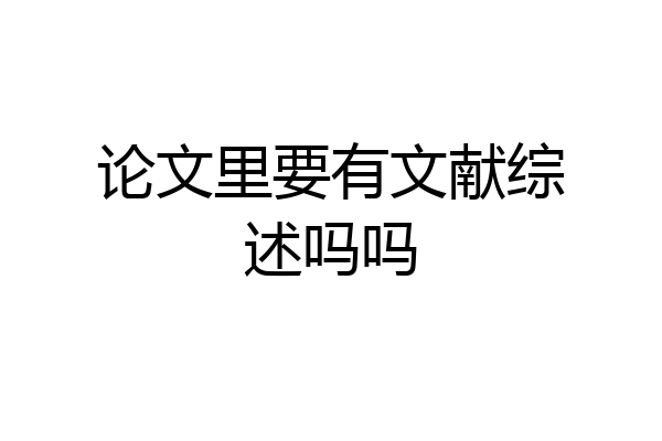 论文里要有文献综述吗吗