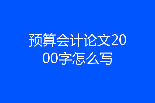 预算会计论文2000字怎么写