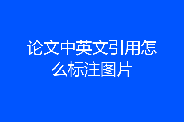 论文中英文引用怎么标注图片