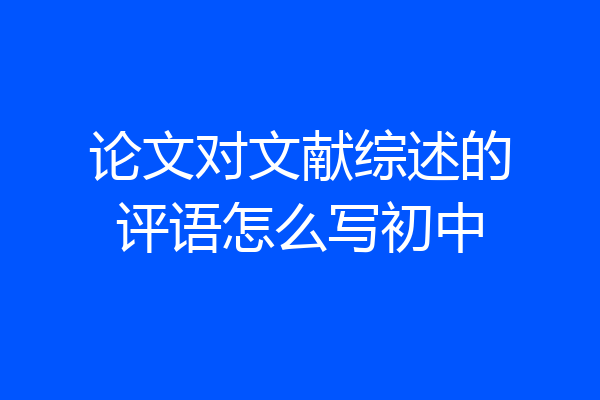 论文对文献综述的评语怎么写初中
