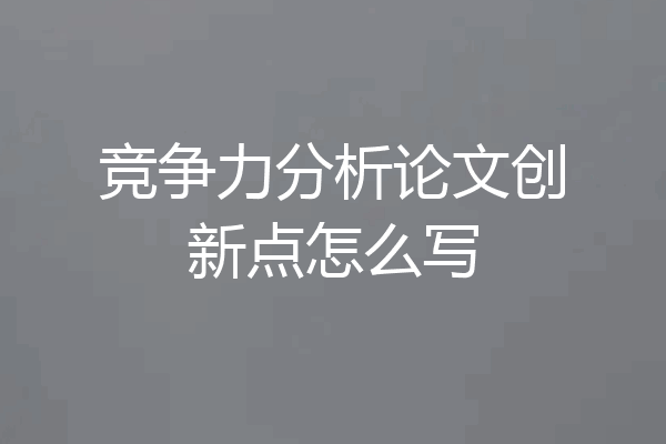 竞争力分析论文创新点怎么写