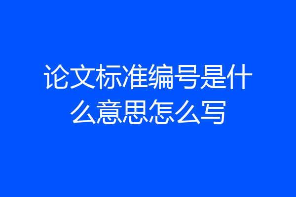 论文标准编号是什么意思怎么写