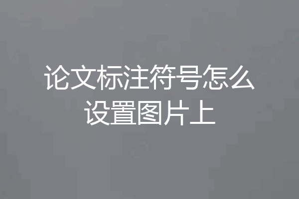 论文标注符号怎么设置图片上