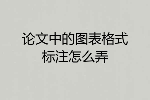 论文中的图表格式标注怎么弄