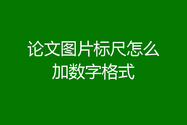 论文图片标尺怎么加数字格式