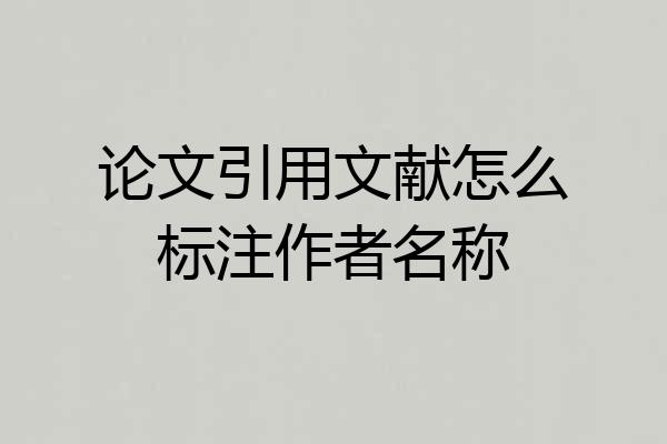 论文引用文献怎么标注作者名称