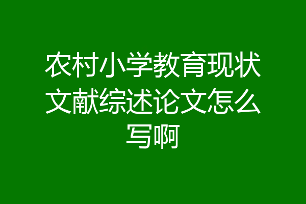 农村小学教育现状文献综述论文怎么写啊