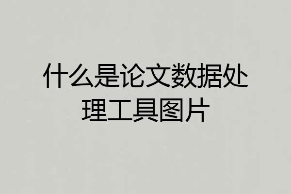 什么是论文数据处理工具图片