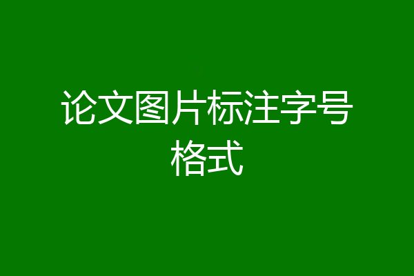 论文图片标注字号格式