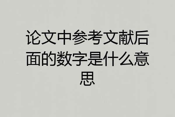 论文中参考文献后面的数字是什么意思