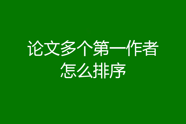论文多个第一作者怎么排序