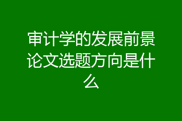 审计学的发展前景论文选题方向是什么