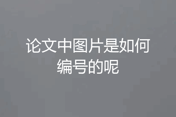 论文中图片是如何编号的呢