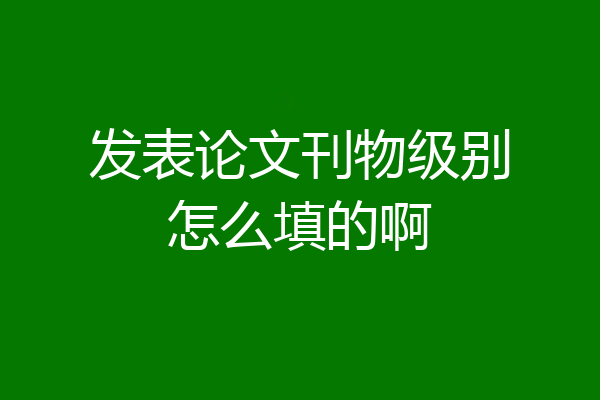 发表论文刊物级别怎么填的啊