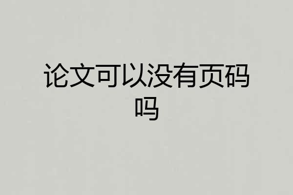 论文可以没有页码吗