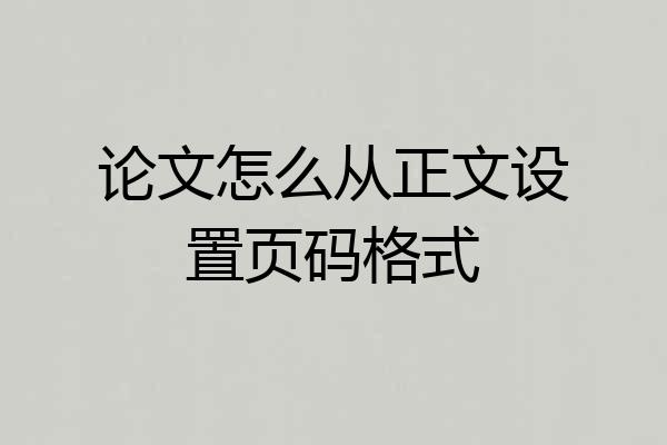 论文怎么从正文设置页码格式