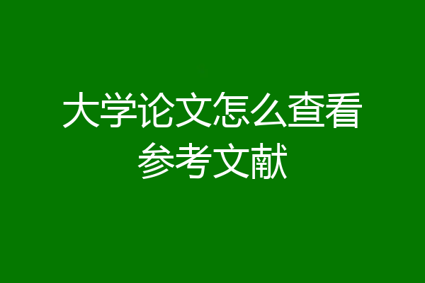 大学论文怎么查看参考文献