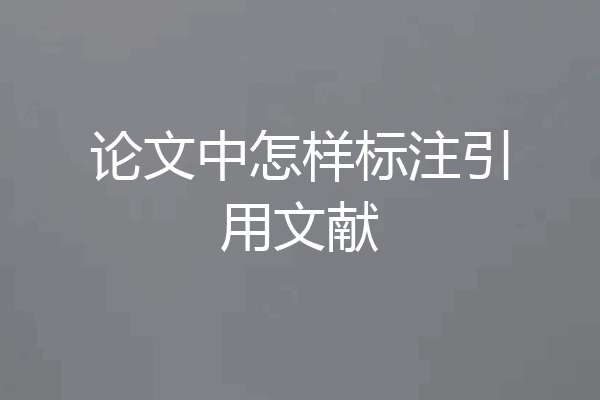 论文中怎样标注引用文献