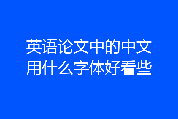 英语论文中的中文用什么字体好看些